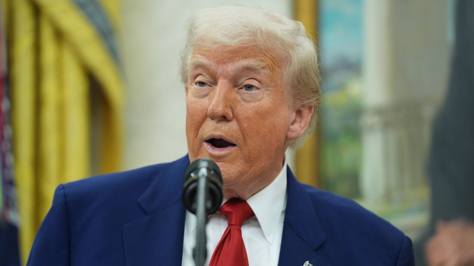 Federal judges rule Trump tariffs can stay in place for now - as president rages at trade court's 'country threatening decision' | US News