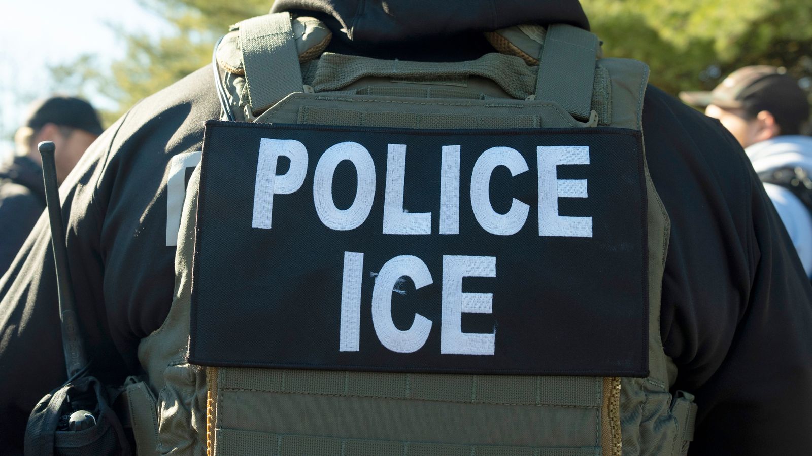 Trump's 'anti-migrant rhetoric' gives the UK's tech industry a competitive edge, say experts | Science, Climate & Tech News