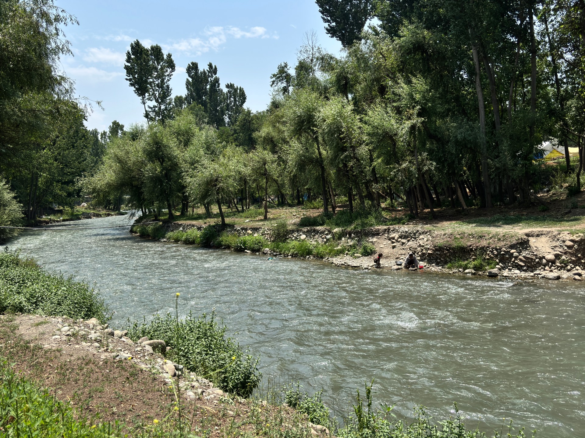 Otters spotted in Kashmir waters, and residents are both thrilled and wary | Wildlife News