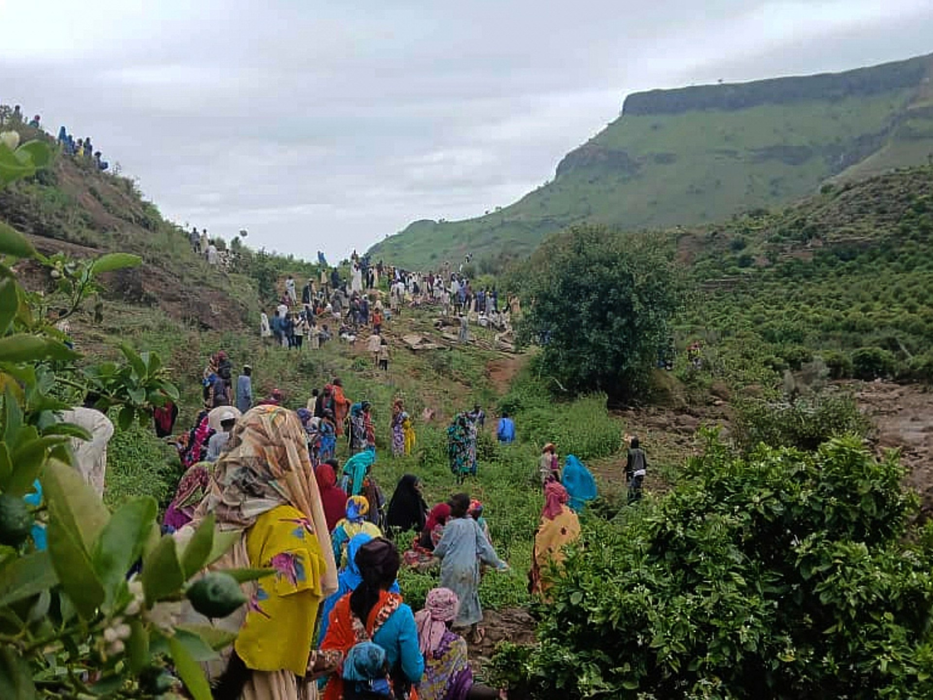 Sudan appeals for aid after landslide kills more than 1,000 in Darfur | Humanitarian Crises News